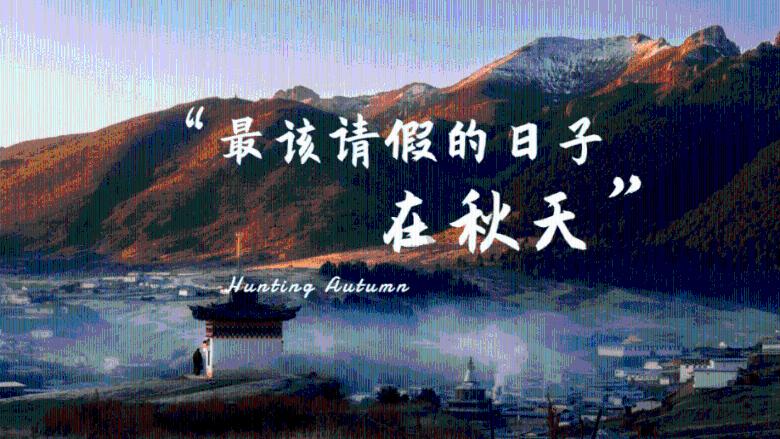 发现知识星球平台-